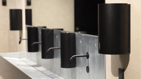 BJÖRK BLAS OM VÄSTVINDEN